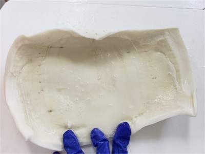 進口秘魯魷魚.PNG 進口秘魯魷魚.PNG