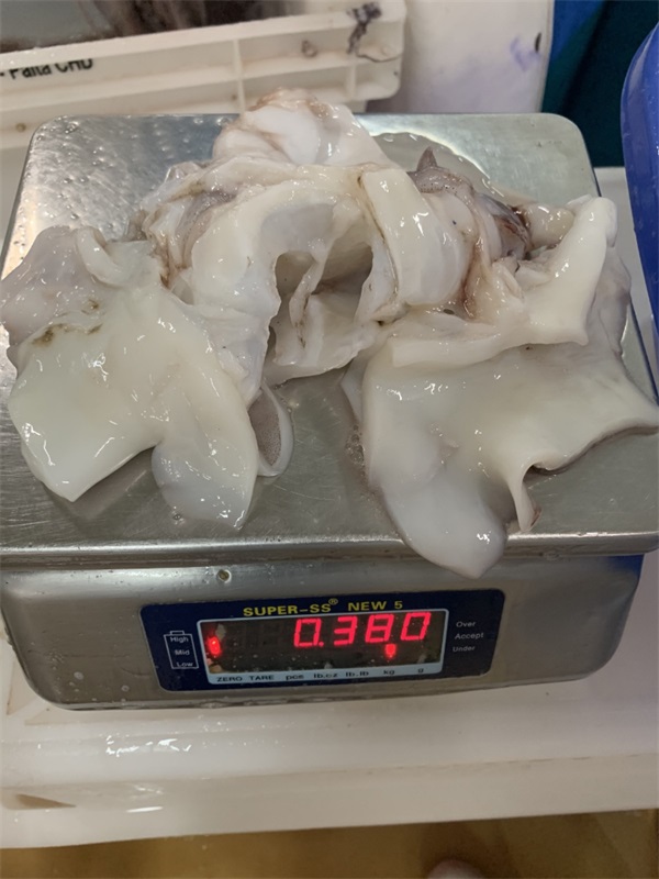 秘魯魷魚(yú) (11).jpg